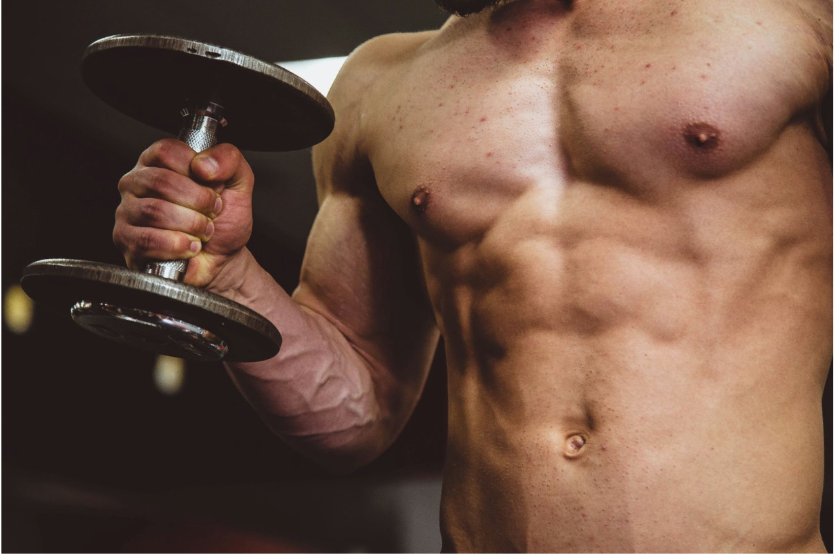 Top Herbs For Muscle Building: Guide to Healthy Bulking