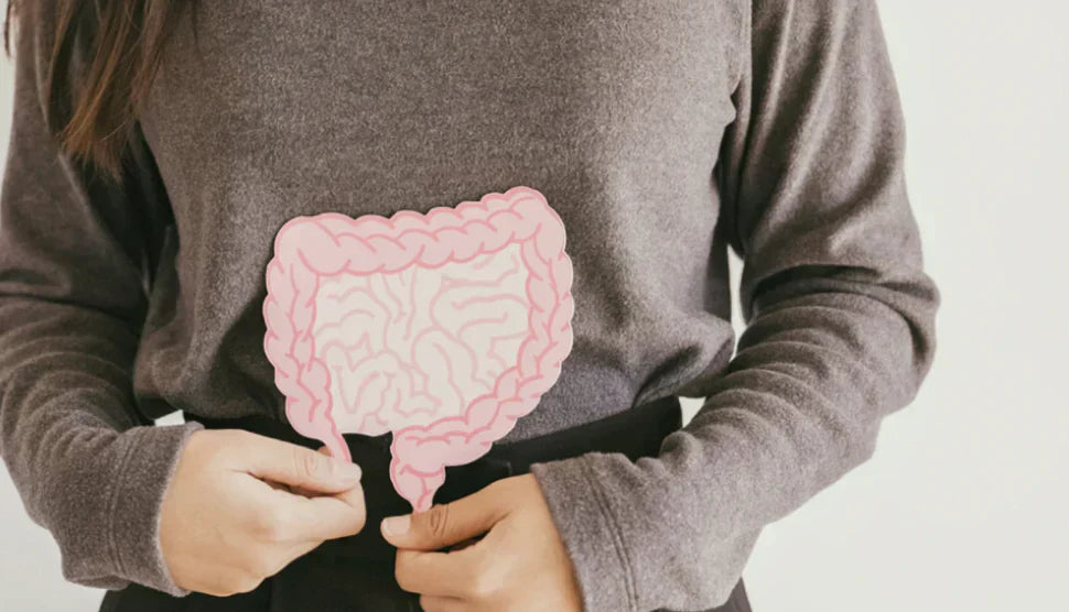 Gut Health for Immunity: How Your Microbiome Defends Your Entire Body